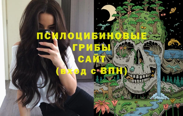 мяу мяу мука Белокуриха