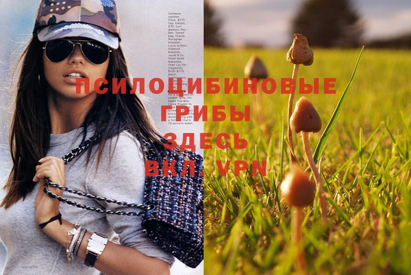 мяу мяу мука Белокуриха