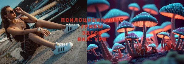 мяу мяу мука Белокуриха